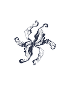 Liquid 07