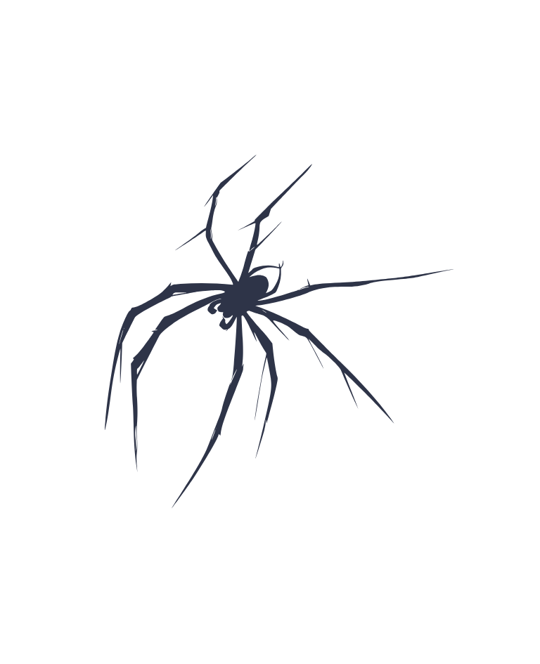 Spider Crawl